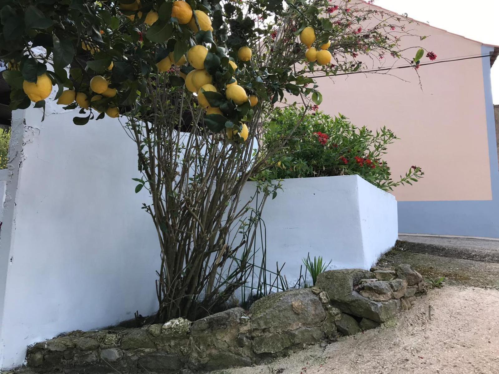 Casas Bemposta Villa Monchique Exterior photo