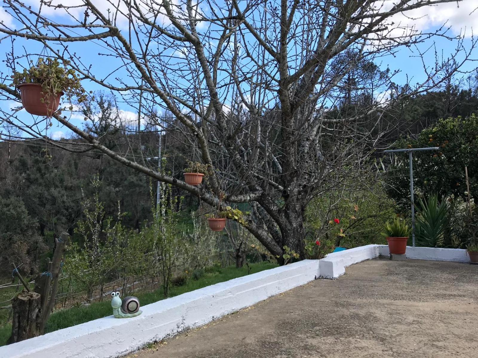 Casas Bemposta Villa Monchique Exterior photo