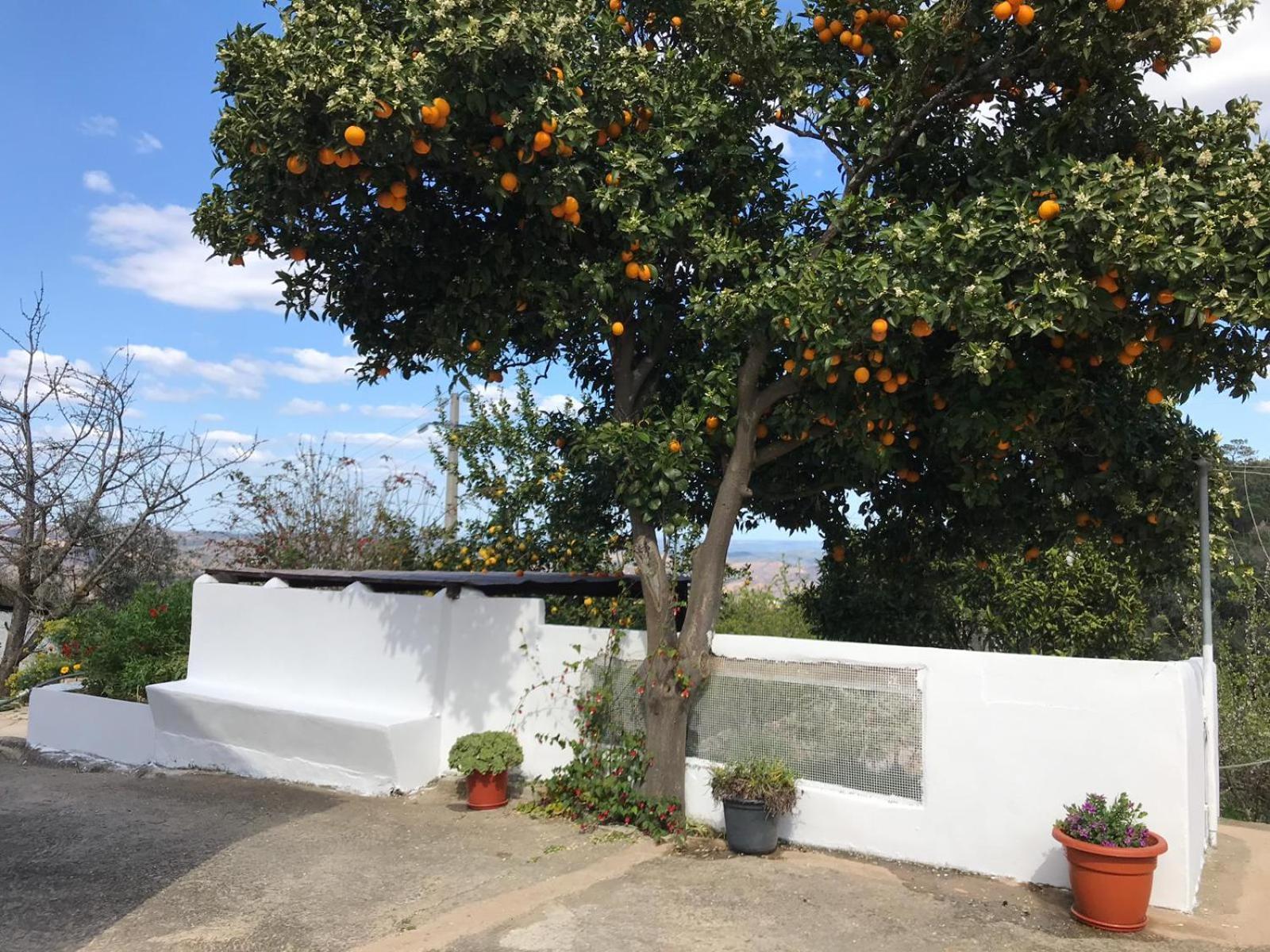 Casas Bemposta Villa Monchique Exterior photo