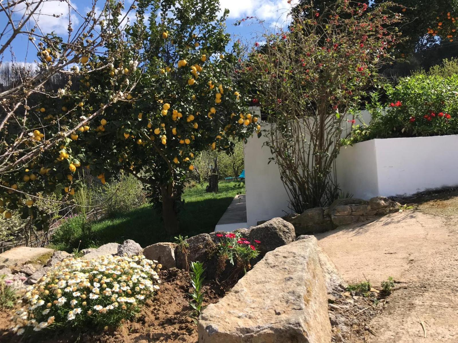 Casas Bemposta Villa Monchique Exterior photo