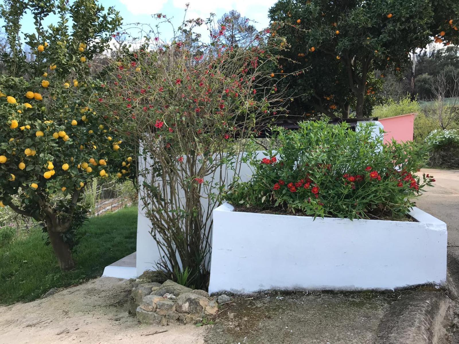 Casas Bemposta Villa Monchique Exterior photo
